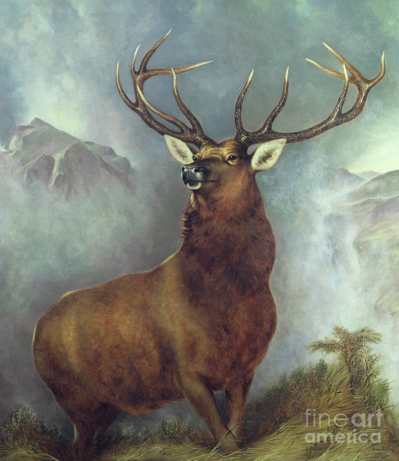 The Monarch of the Glen Painting by William Widgery