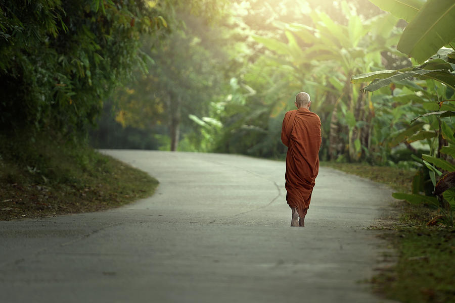 Монах дорога. Monk Walking Windy. How to look like a Monk visually.