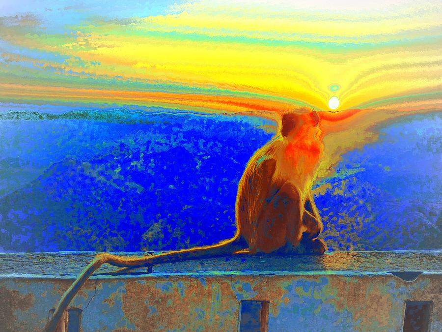 The Monkey Who Stole My Sunset Primary Colors Abstract 1a Photograph by Sue Jacobi