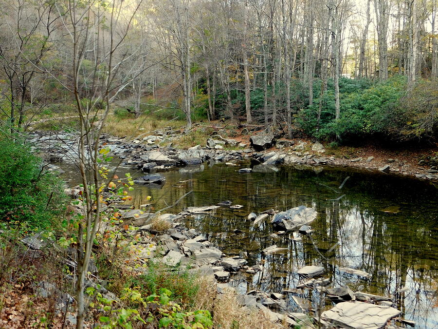 The Monongahela National Forest Photograph by Arlane Crump Pixels