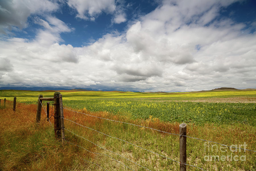 The Montana Steppes Photograph by Beve Brown-Clark Photography