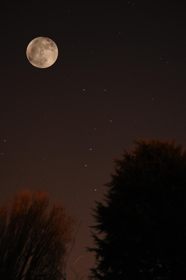 The Moon and Ursa Major Photograph by Chris Day