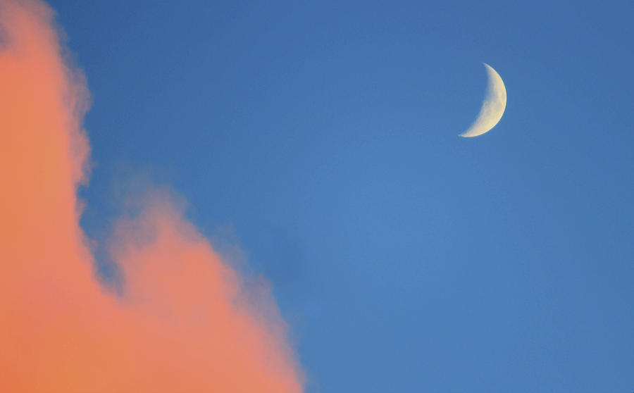 Moon Photograph - The Moon at Sunset by Holly Heath Moon Photograph - The Moon at Sunset by Holly Heath