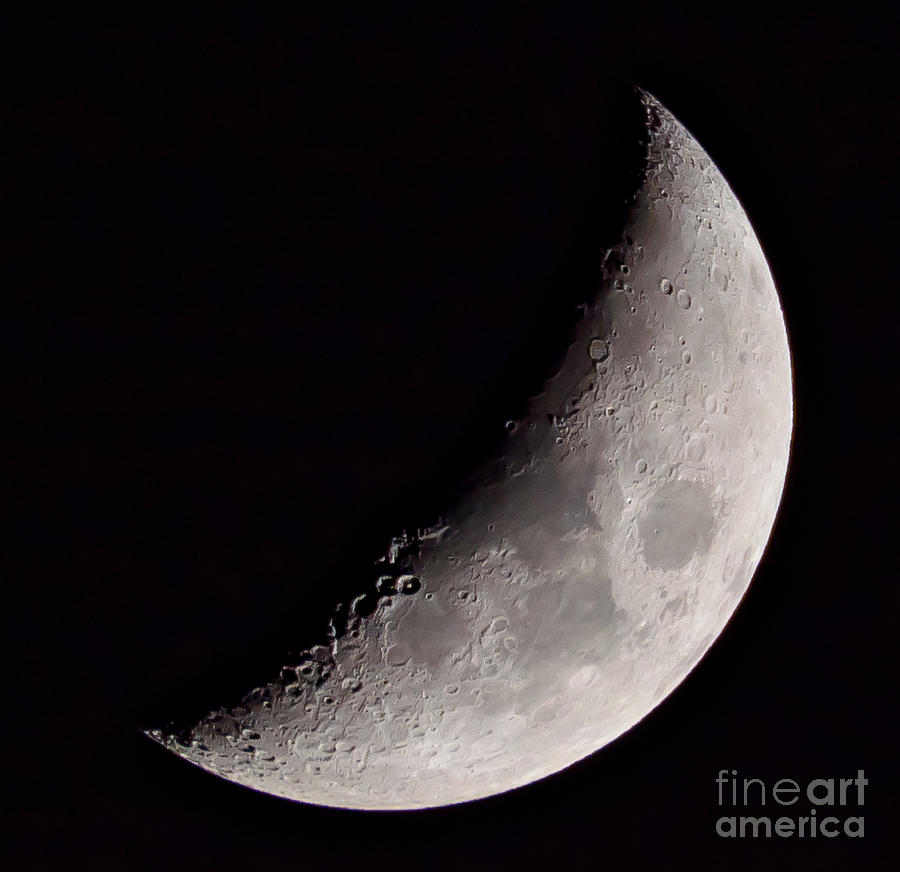 The moon Photograph by Colin Rayner