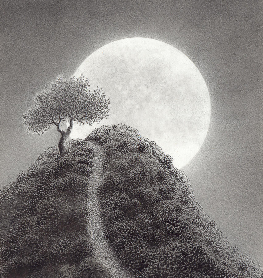 Pen And Ink Drawing - The Moon Dreams Of A Summer Night by Mark Reep