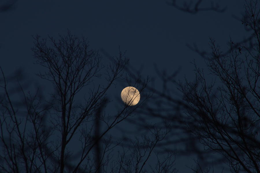 The Moon Photograph by Kate Scott