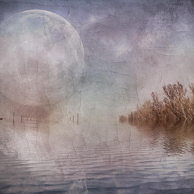 The Moon Reflecting On A Long, Long Day Photograph by Tanya Gordeeva