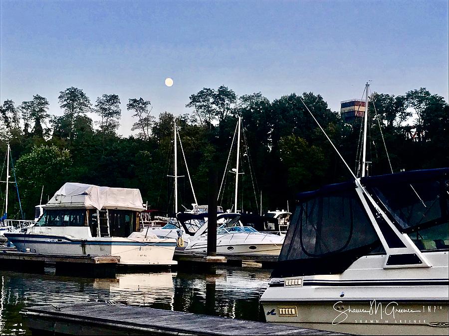 The moon rises over the marina Photograph by Shawn M Greener