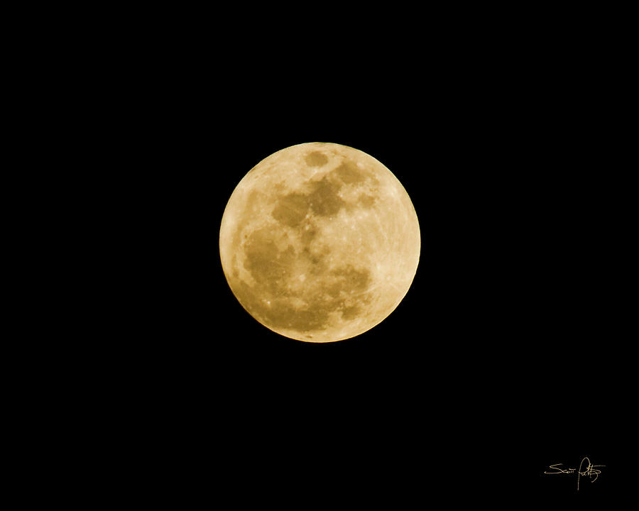 The Moon Photograph by Scott Pellegrin