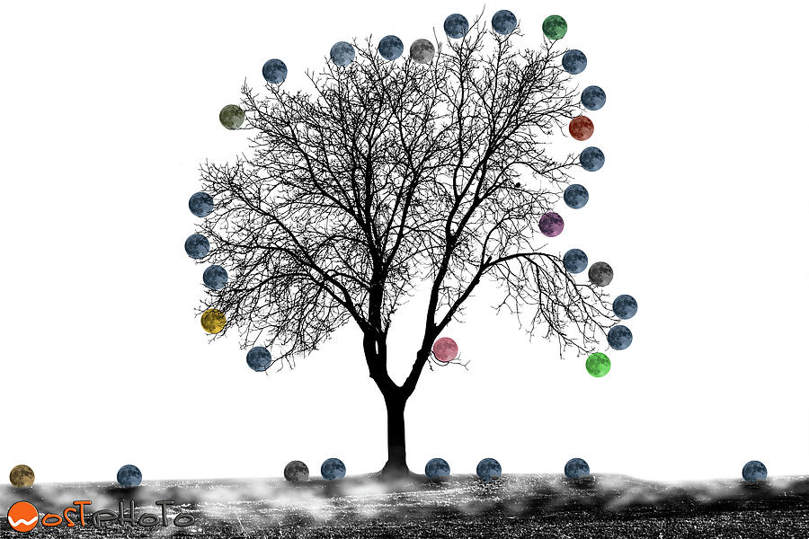 The Moon Tree Digital Art by Wolfgang Stocker