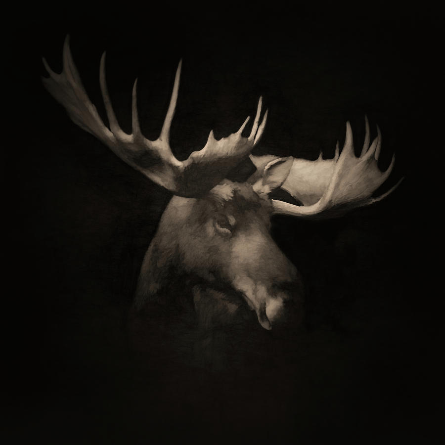 The Moose 2 Digital Art by Ernest Echols
