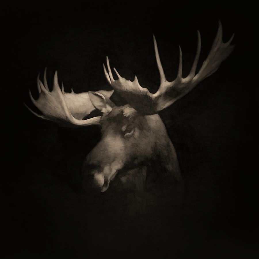 The Moose 3 Digital Art by Ernest Echols