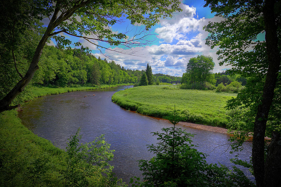 Summer Photograph - The Moose River at McKeever by David Patterson