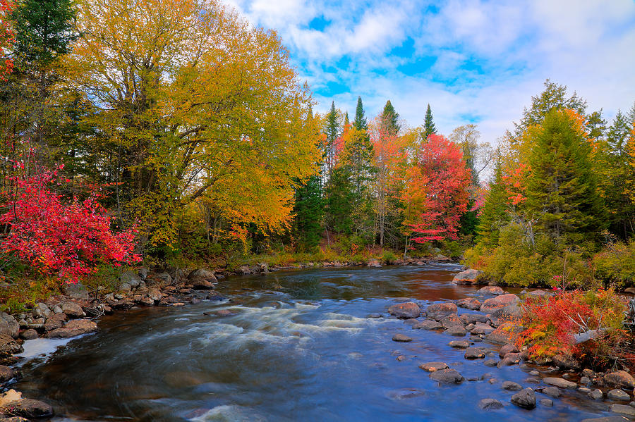 The Moose River on a Beautiful Fall Day Photograph by David Patterson
