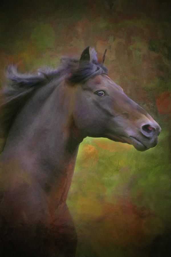 The Morgan Horse Digital Art by Posey Clements
