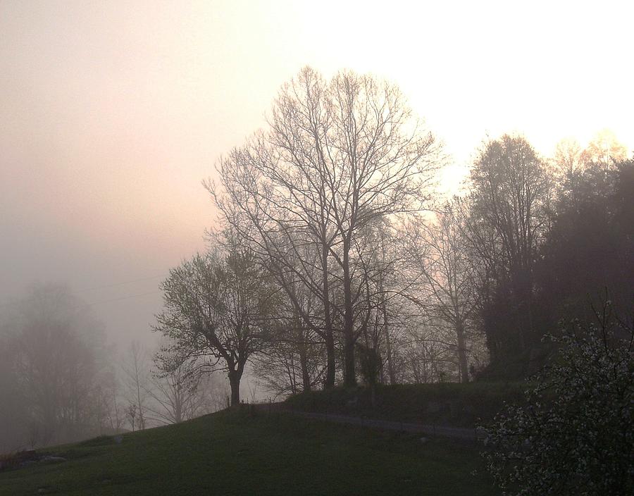 Mist Photograph - The Morning After by Laura Wright