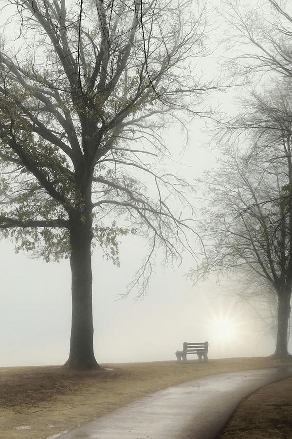 The Morning Mist Photograph by Lori Deiter