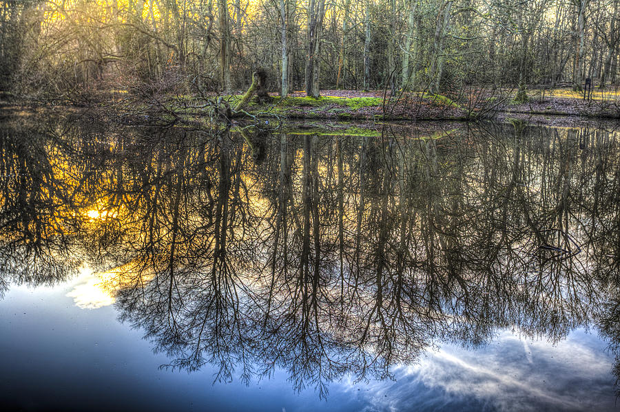 The Morning Pond Reflections Photograph by David Pyatt