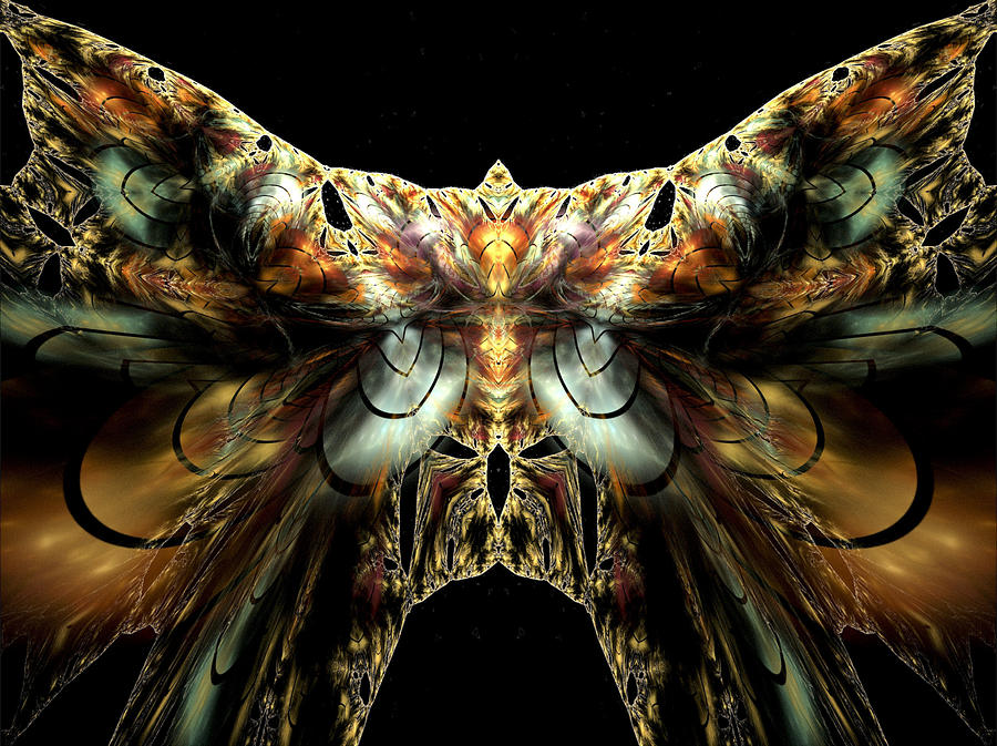 The Moth Digital Art by Amorina Ashton