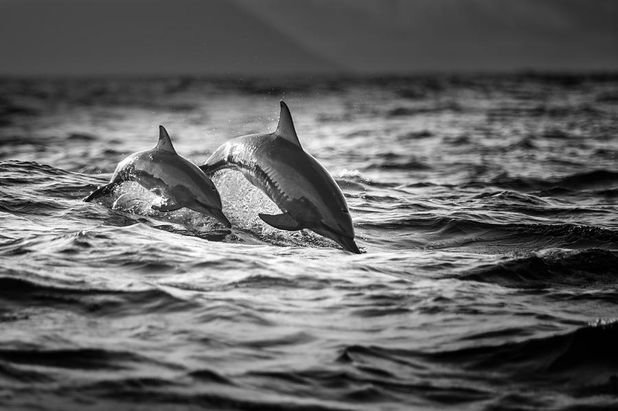 The Mother And The Baby Photograph by Gunarto Song