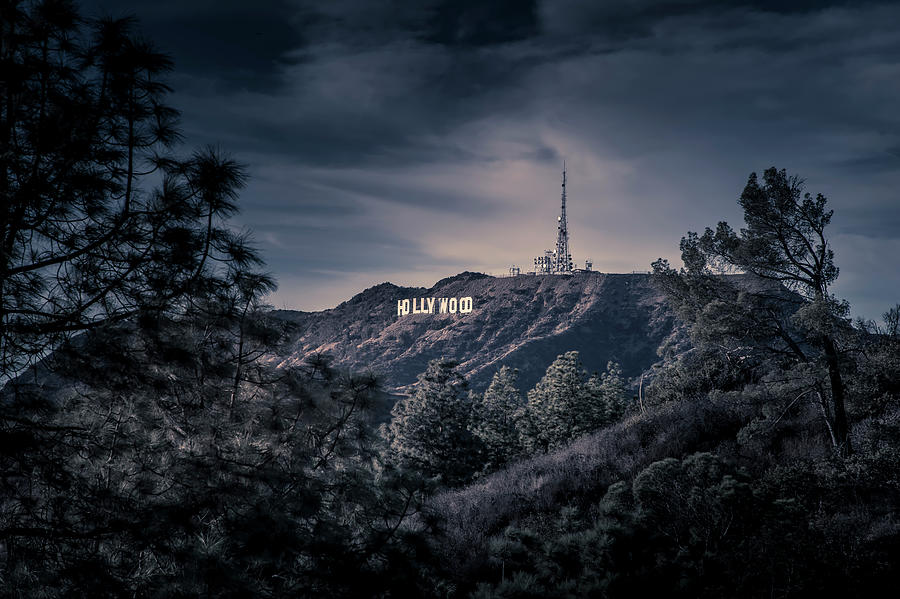 The Mount Hollywood Icon Photograph by Gene Parks