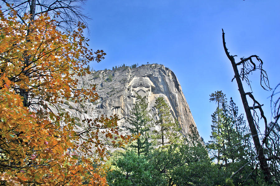 The Mount Rushmore of Yosemite Photograph by Duncan Pearson