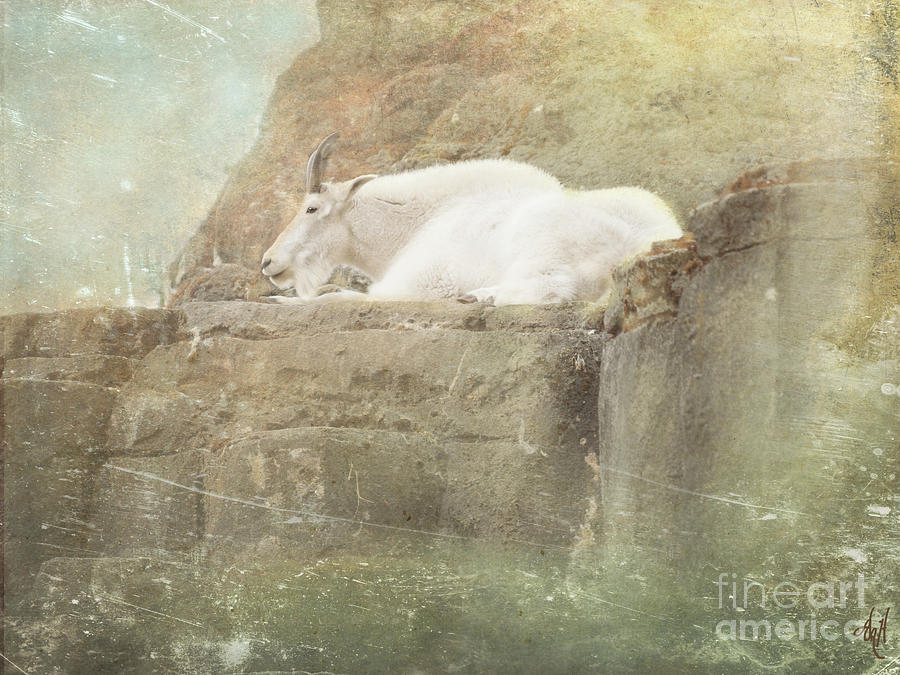 The Mountain Goat Digital Art by Victoria Harrington