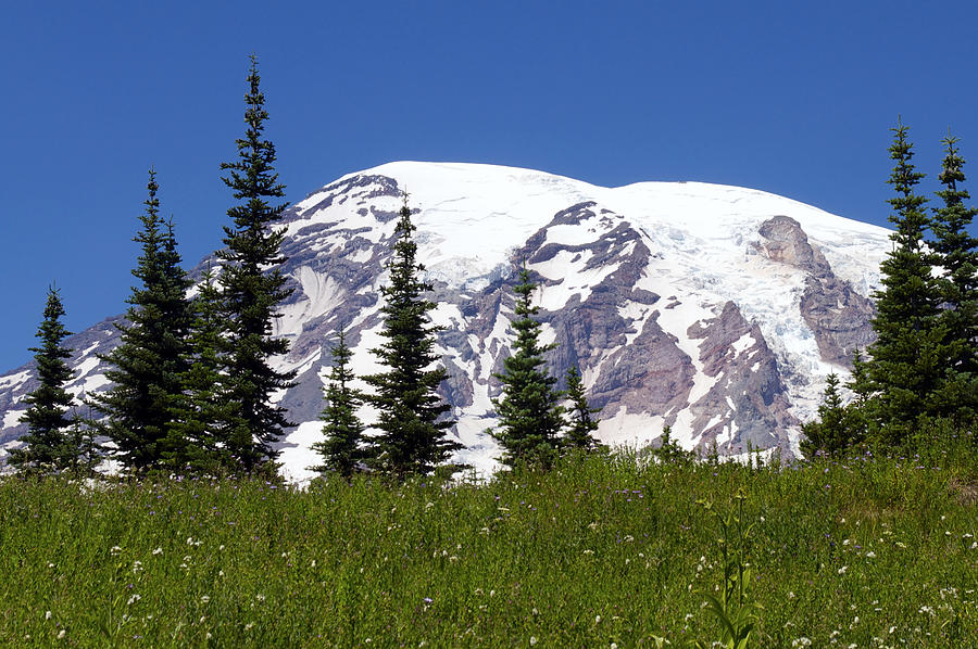 The Mountain in Summer Photograph by Emerita Wheeling