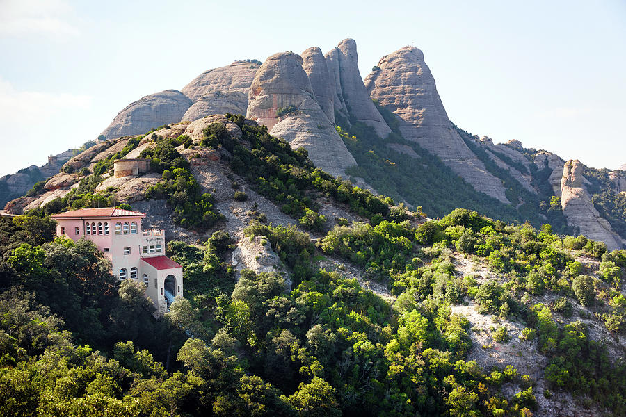 Tree Photograph - the mountain of Montserrat by Svetlana Sewell