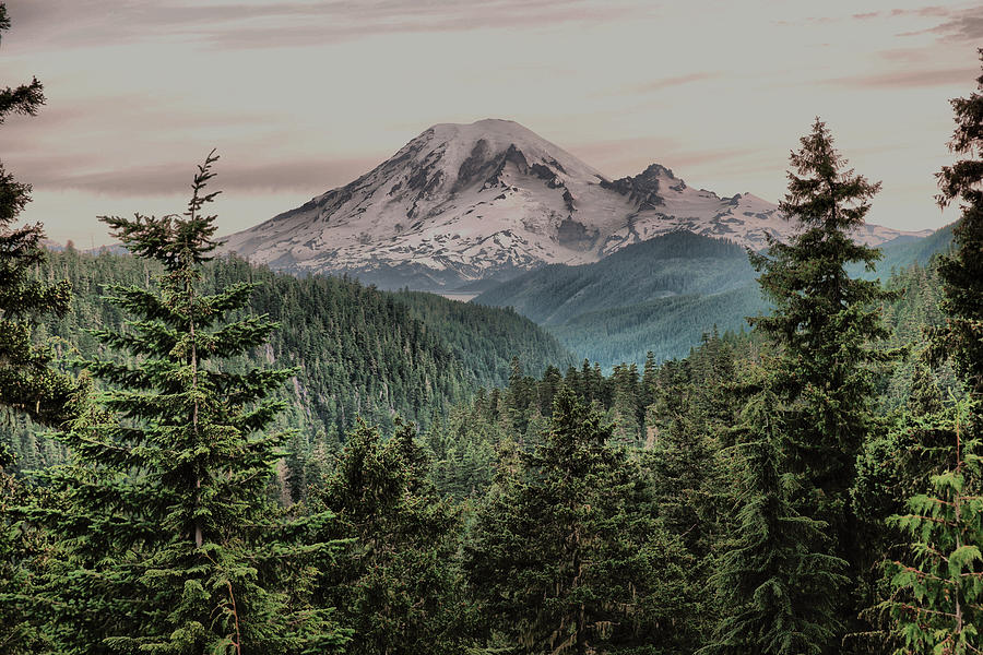 Mount Rainier National Park Photograph - The mountain that moves me  by Jeff Swan
