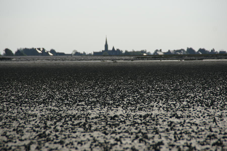 The Mud Flats at Viviers Sur Mer Photograph by Brandy Herren