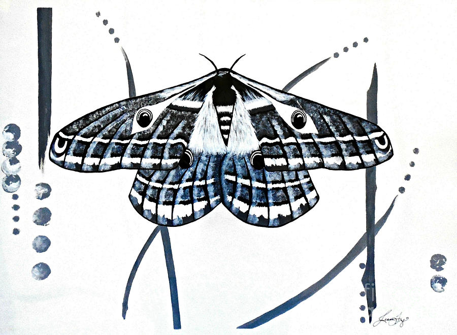 The Multifarious Paths of the Emperor Moth by Jean Fry The Multifarious Paths of the Emperor Moth by Jean Fry