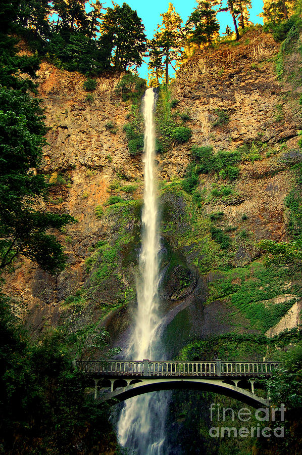 The Multnomah Falls Photograph by Diane E Berry