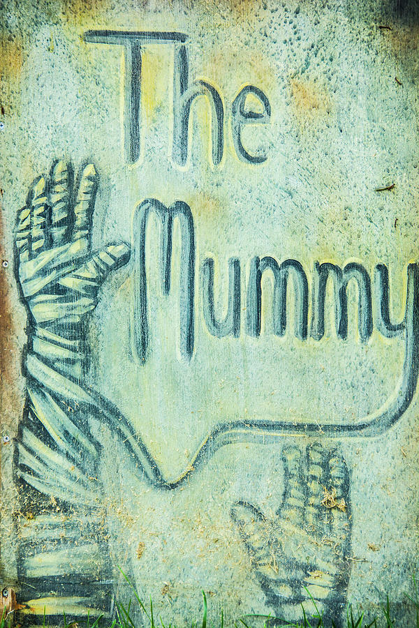 The Mummy Photograph by Pamela Williams