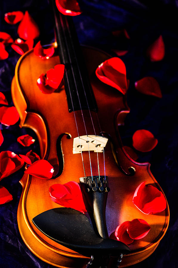 The musical rose petals Photograph by Gerald Kloss