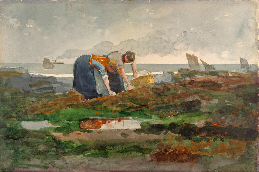 The Mussel Gatherers Drawing by Winslow Homer