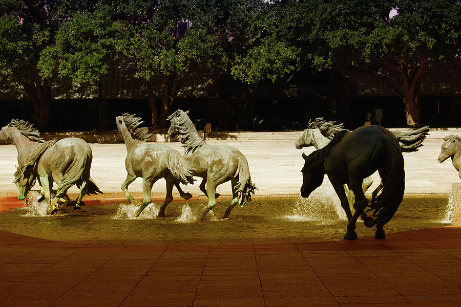 The Mustangs Las Colinas Photograph by Roberta Byram
