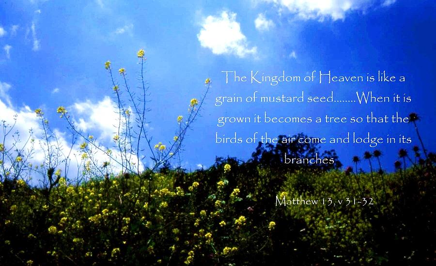 The Mustard Seed and the Kingdom of Heaven Photograph by Nigel Radcliffe