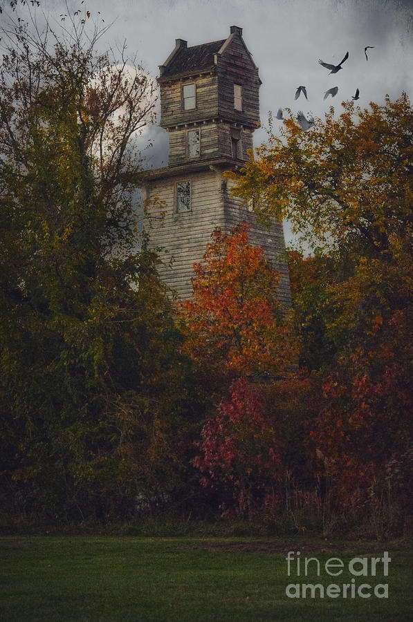 Fall Photograph - The Mysterious Oakhurst Water Tower by Debra Fedchin