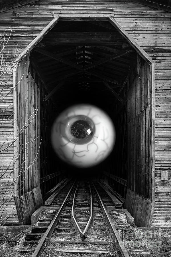 The Mystical Eye sees all and knows all Photograph by Edward Fielding