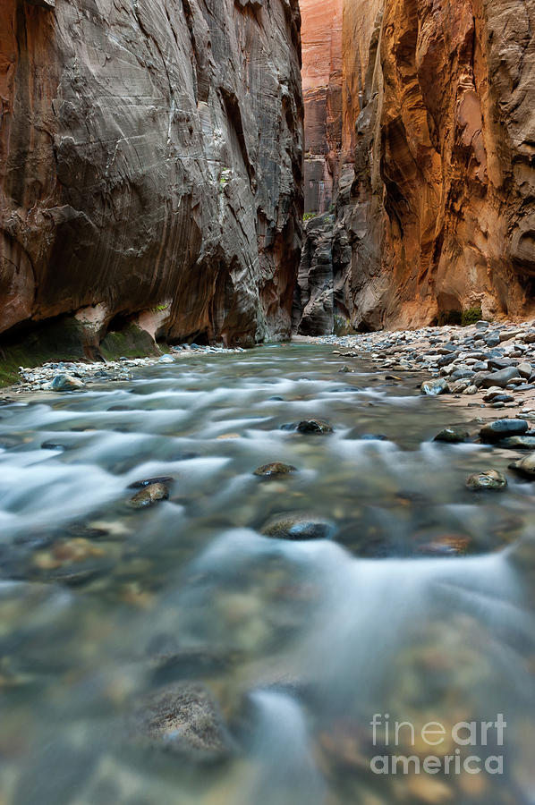 The Narrows in Zion National Park Photograph by Tibor Vari