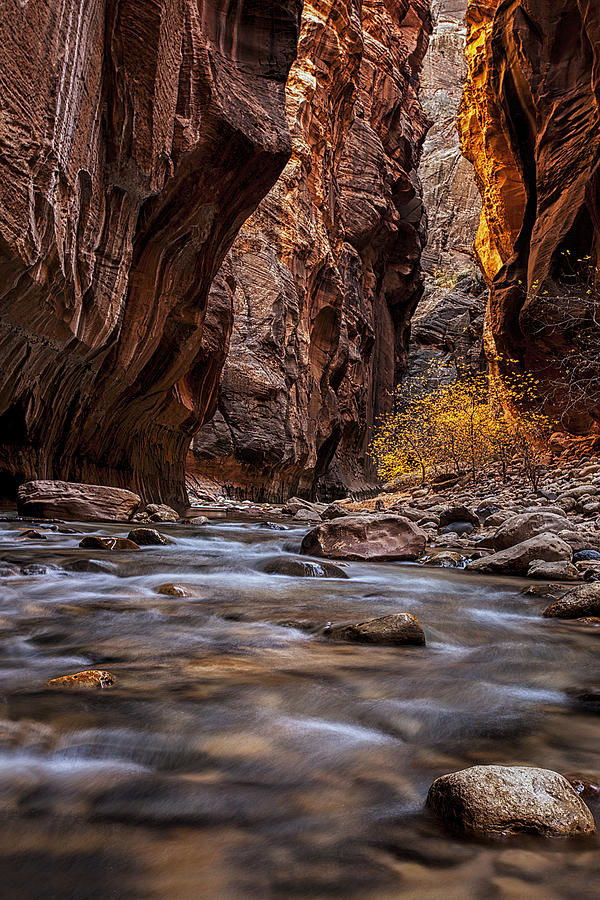 Zion National Park Photograph - The Narrows of Zion by Andrew Soundarajan