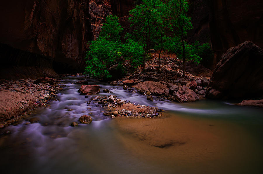 The Narrows waterfall Zion National Park Photograph by Scott McGuire