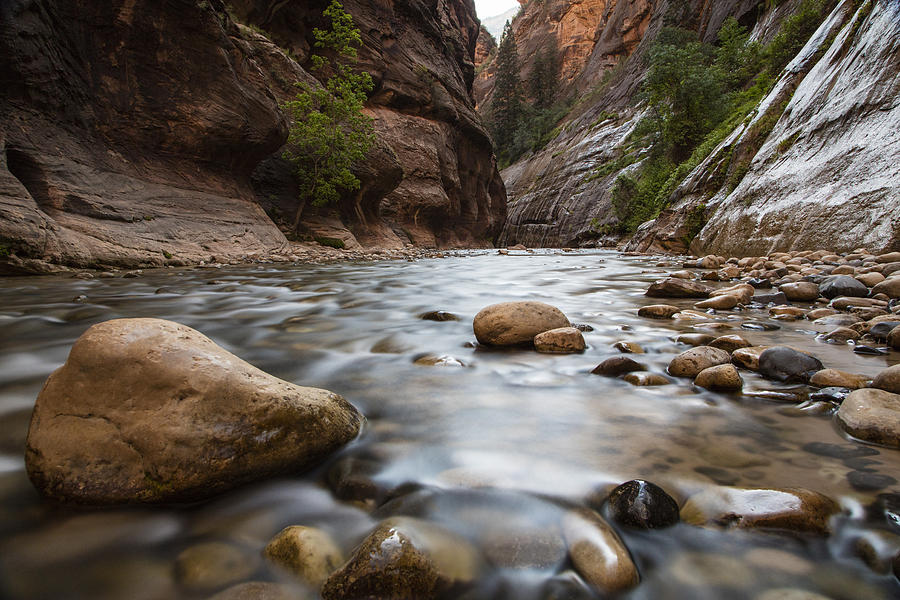 The Narrows Zion National Park Photograph by John McGraw