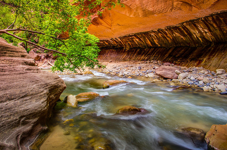 The Narrows Zion National Park Photograph by Scott McGuire