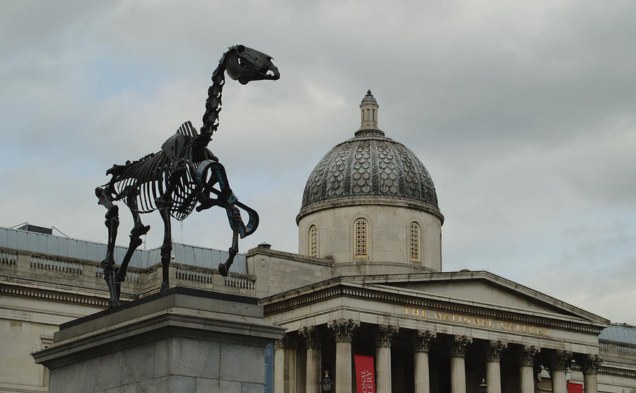 The National Gallery With Horse Skeleton Photograph by Adrian Wale