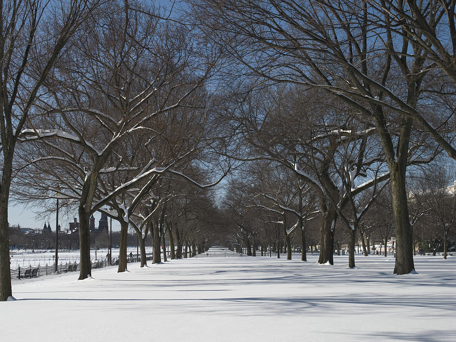 The National Mall in Washington DC after a Winter Snow Storm Photograph ...