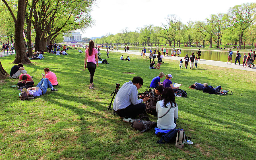 People On The National Mall -- Looking West Photograph by Cora Wandel