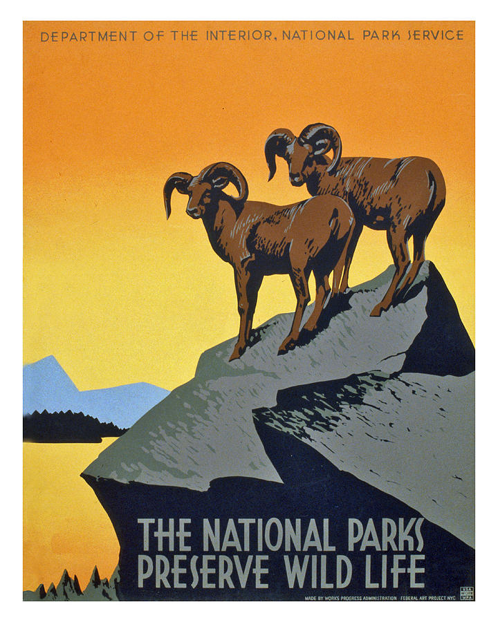 The National parks preserve wild life Painting by Long Shot