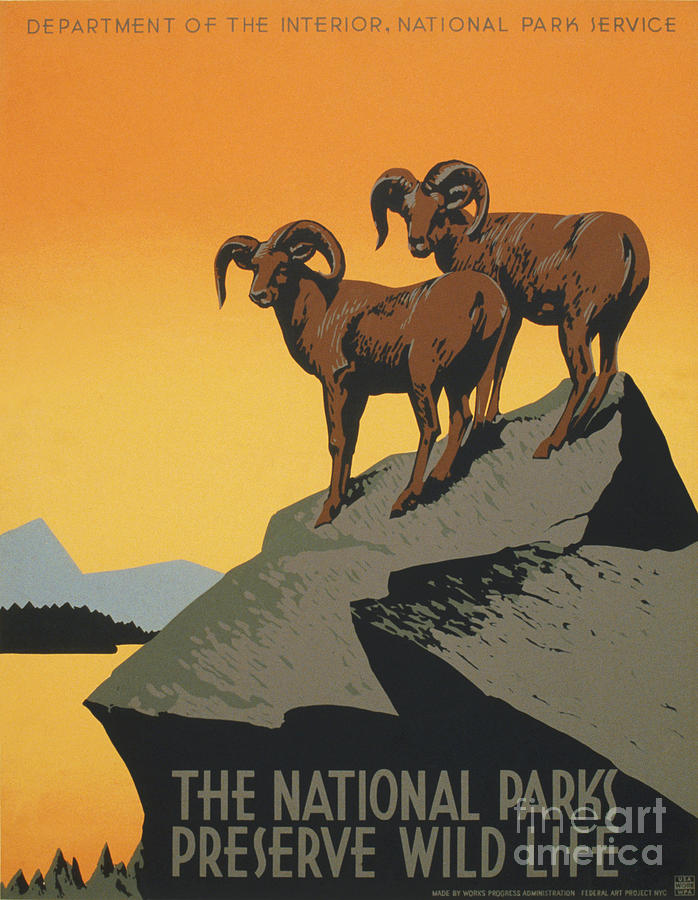 The National Parks Preserve Wild Life vintage travel poster Painting by Vintage Collectables